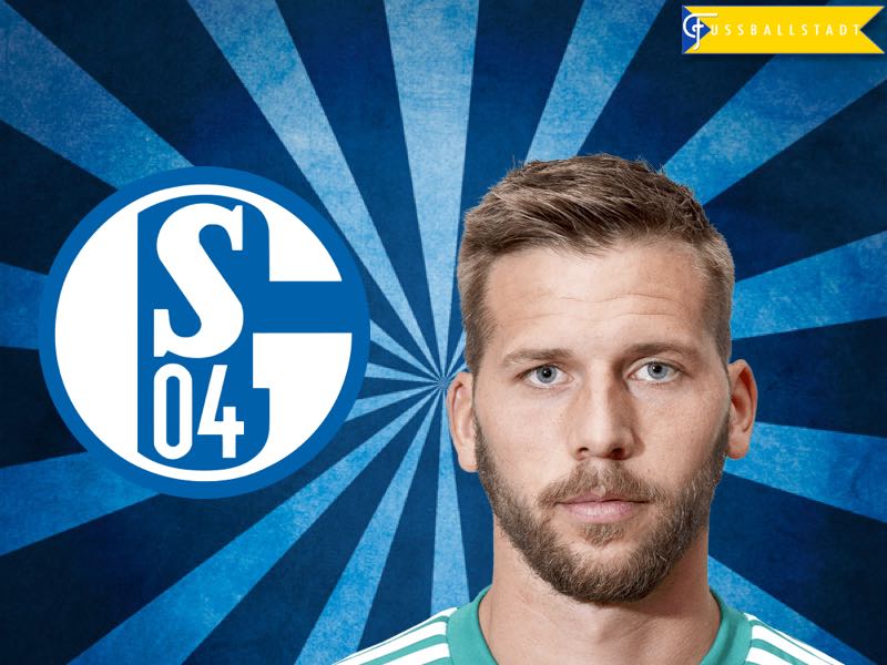 Guido Burgstaller – Austrian Reinforcement for Schalke